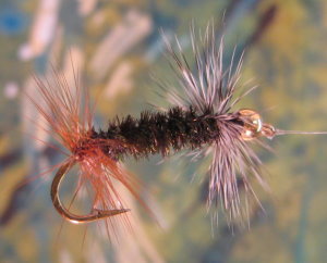 Click for larger image