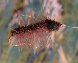 Click for larger image