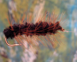 Click for larger image